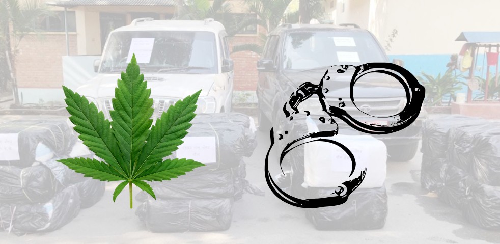 690 kg Marijuana Seized in Dharan: Smuggler Arrested, Fake Government License Plates Used