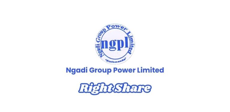 Ngadi Group Power Limited