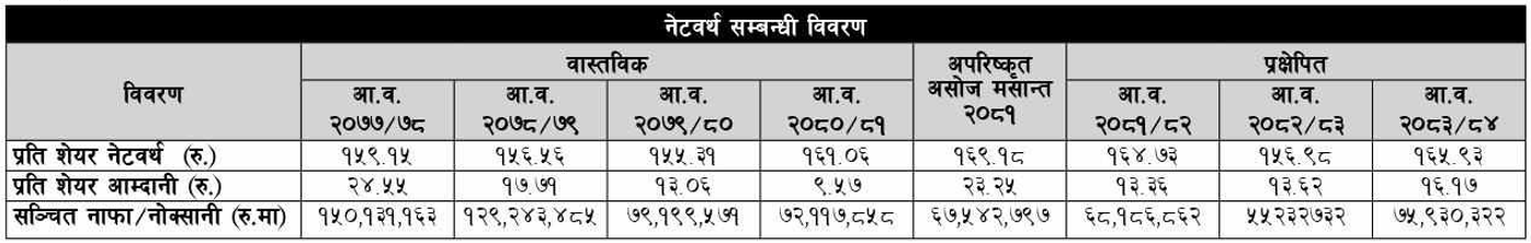 ICFC Finance Networth Details