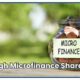 Low & High Microfinance Shares