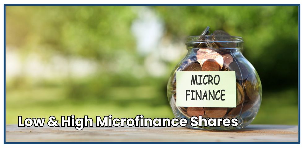 Low & High Microfinance Shares