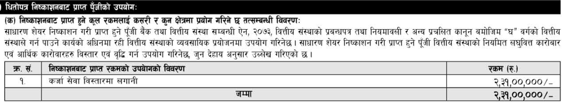 Utilization of Capital Raised from Public Offering