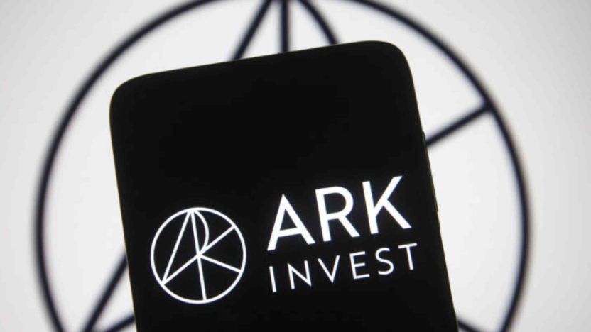 ARK Innovation branding highlighted amid renewed gains in technology stocks